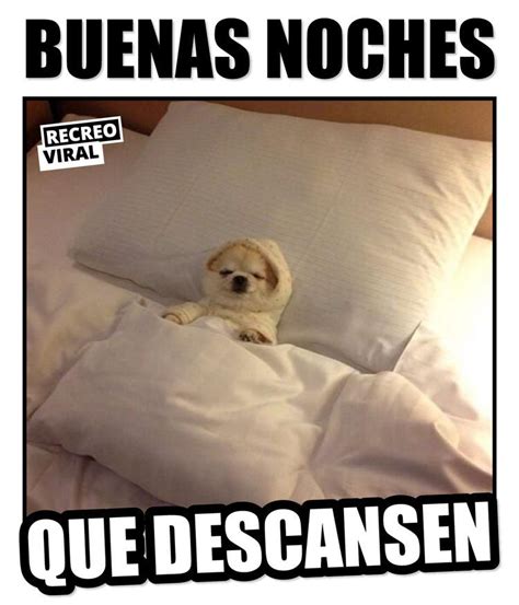 buenas noches meme|More.